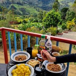 Frühstück auf dem Balkon 🫐🍌🍍