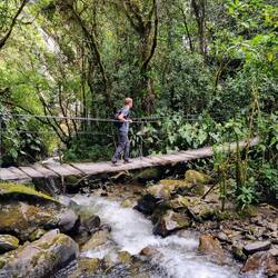 Bei der Wanderung überqueren wir marode Hängebrücken...