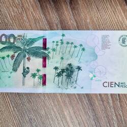 Cocora-Tal auf dem 100.000-Peso-Schein 💵