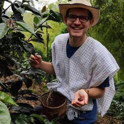 Zunächst die reifen Kaffeekirschen pflücken 🍒