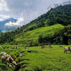 Wunderschöne Landschaft 🏞
