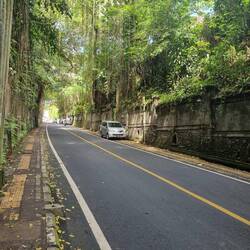 In Ubud angekommen🌞