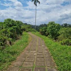 Ein bisschen wandern gehen🏃🏼‍♀️