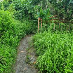 Der Weg dorthin, den sonst niemand gefunden hat😌