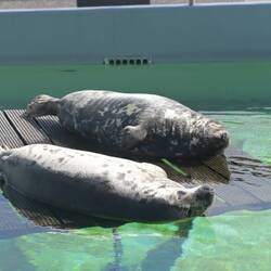 Betty & Annie beide sind Blind. Aber sie geniessen trotzdem die Sonne