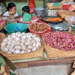 Knoblauch, Schalotten, brauner Zucker und Chilis