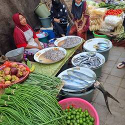 Fisch und lange Bohnen.