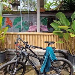 Unsere Bikes🚵‍♀️