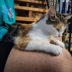 Letzte Gatze hier
