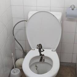 Métaphore pour cette journée