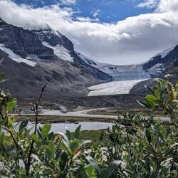 Blick auf das Eisfeld und den Athabasca Gletscher
