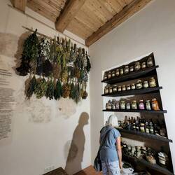 Joanne in Herb Room at Panemunė Castle