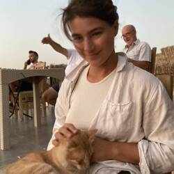 House kitty at dinner