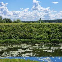 Lithuanian boundary marker in a distance