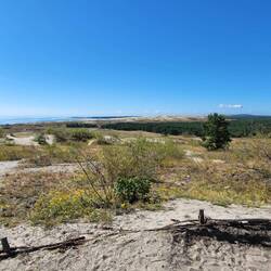 Parnidis Dune