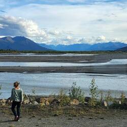 Auskundschaften des Schlafplätzchens