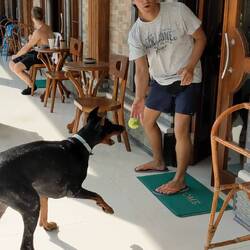 Alpha liebt ihren Balli