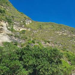 Das war der "Weg" runter...klettern ist noch nett ausgedrückt😅Wer sieht ihn?🤭