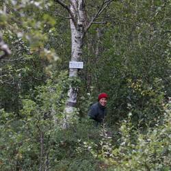 Hier gibt es ein Loch mit dem Gestell eines Klappstuhls und einer WC-Brille oben drauf.