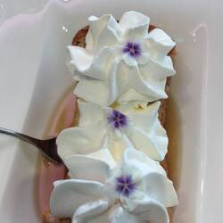 Dessert "Rhum Baba", fast zu schön zum Essen - aber nur fast ....