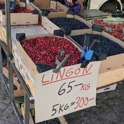 I'm becoming quite partial to my friend the Lingonberry.