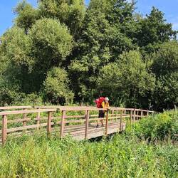 Es ging über einige Brücken und Bohlenwege!