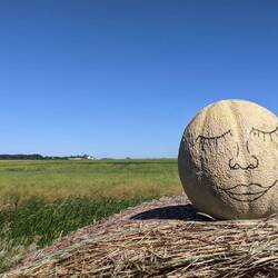 Wilson im Süden Manitobas