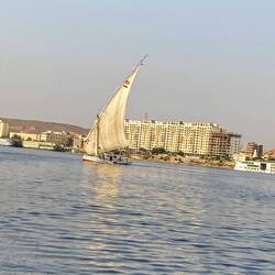 One of the MANY other Feluccas on the river