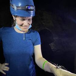 Skorpionspinne als neues Haustier?