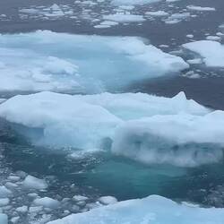 Our last sea ice encounter of the expedition — Baffin Bay, Greenland.