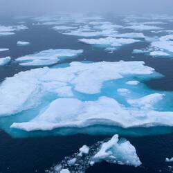 Our last sea ice encounter of the expedition — Baffin Bay, Greenland.