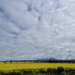 Views from our free camp, not bad.