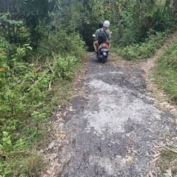 Besten Straßenverhältnisse fürs Roller fahren😂