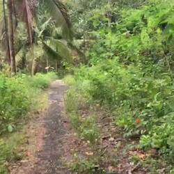 Tour buchen brauchen wir nicht😂 wir suchen uns selbst unser Abenteuer😎