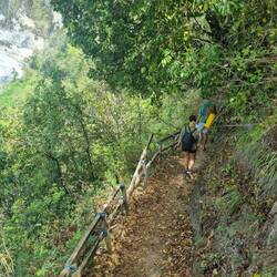 Der Weg zum Strand🛣