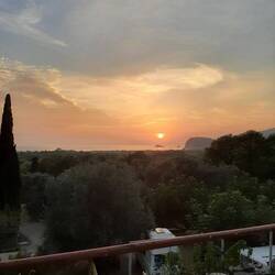 Aussicht vom Olivenbaum