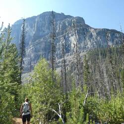 Early on in the trail. The rockfaces are so imposing.