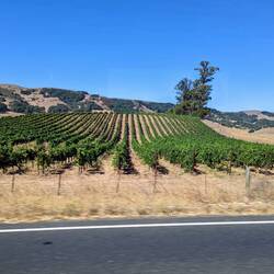 Arriving in wine country