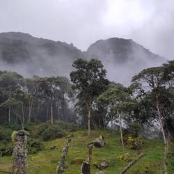"Sub-Paramo"