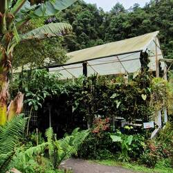 An diesem Ort gab es Mittagsessen