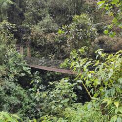 Hängebrücke für die Flussüberquerung