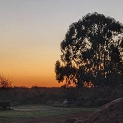 Sunrise on Dubbo. I was up early