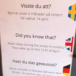 Viel wichtiger: schlafen sie jetzt schon?