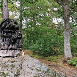 die Seerosen werden vom Troll bewacht