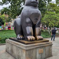 Gato - Katze