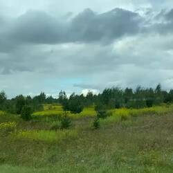 Landscape impression