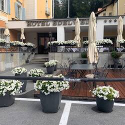 Hotel Edelweiss- but with petunias not edelweiss