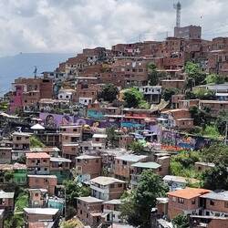 Aussicht auf die Strasse mit den vielen Graffitis