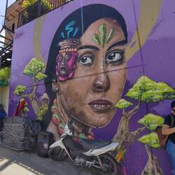 Indigene Frau aus dem Amazonas