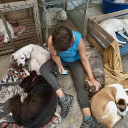 Wenn man zwischendurch mal am Handy hängt